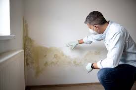 Best Mold Documentation for Insurance Claims  in Strongsville, OH